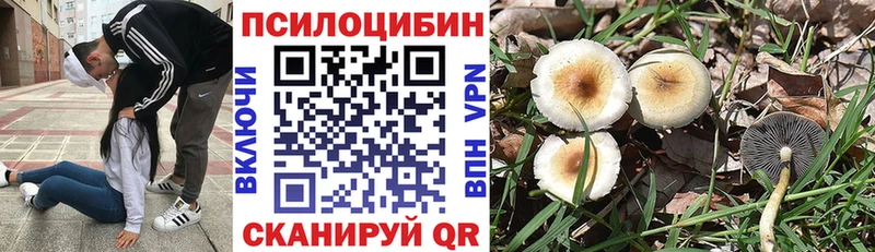 Купить где  Сысерть  Псилоцибиновые грибы прущие грибы 